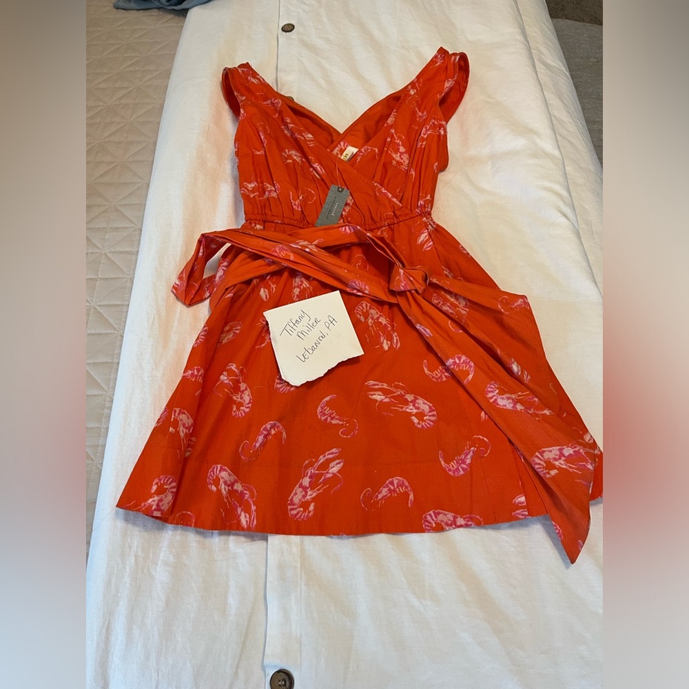 Anthropology petite dress